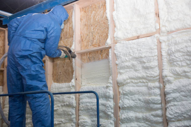 Best Spray Foam Insulation in Spencerville, NM